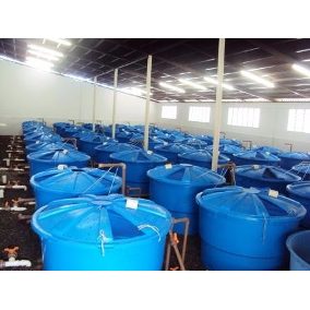 D_Q_NP_687815-MLB25319237476_012017-Q.jp