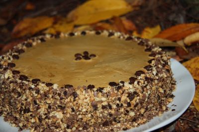 681411acfc6b7cb3c1b496a30a0955ba3e022_IM