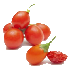 Goji-Berry.png