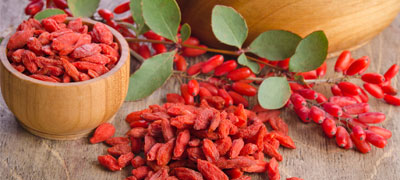 dieta-com-goji-berry.jpg